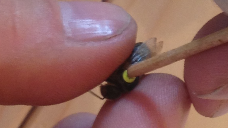 Erweiterung Lehrbienenstand Altenthann